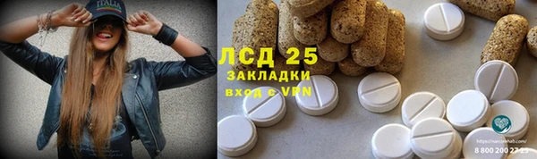 сатива Елизово
