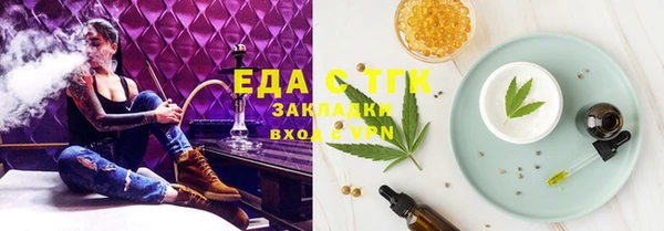 спиды Ельня