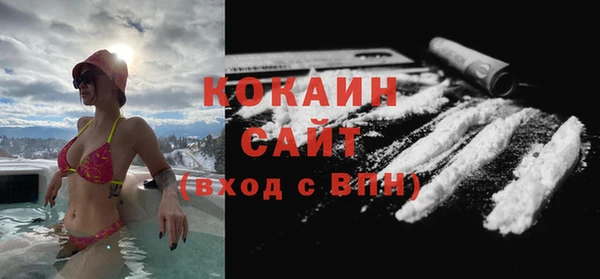 спиды Ельня