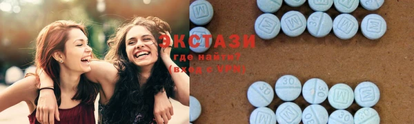 спиды Ельня