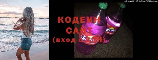 спиды Ельня