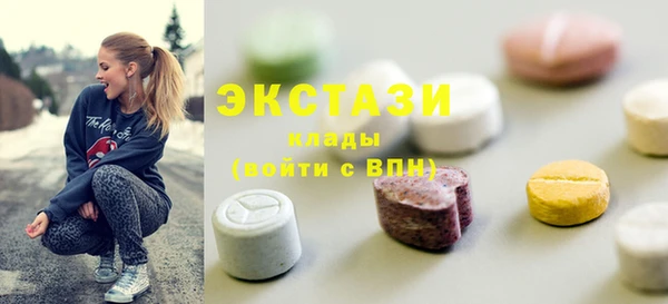 спиды Ельня