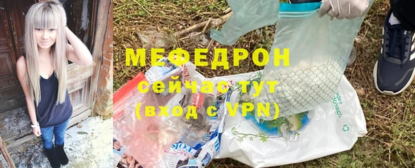 спиды Ельня