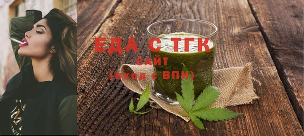 спиды Ельня