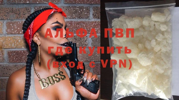 спиды Ельня