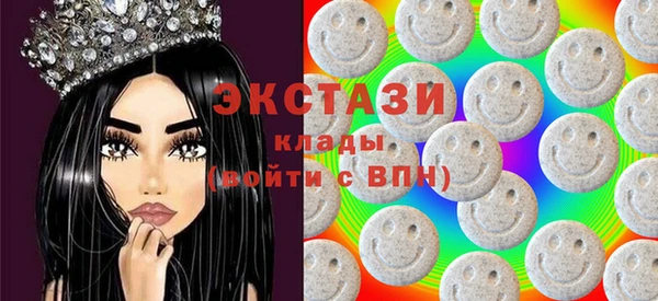 спиды Ельня