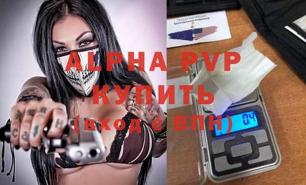 спиды Ельня