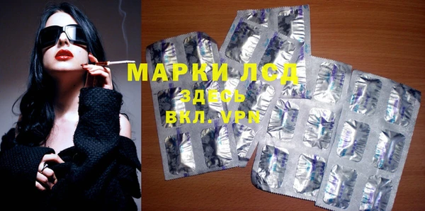 спиды Ельня