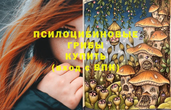 сатива Елизово