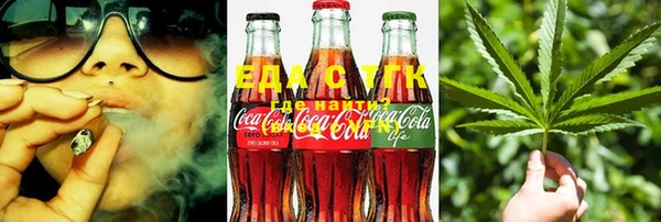 сатива Елизово