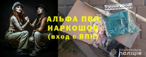 сатива Елизово