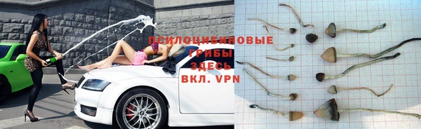 спиды Ельня